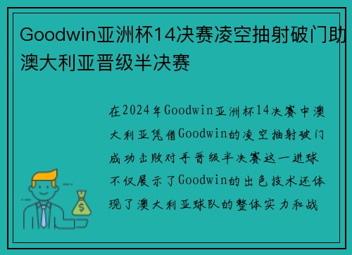 Goodwin亚洲杯14决赛凌空抽射破门助澳大利亚晋级半决赛